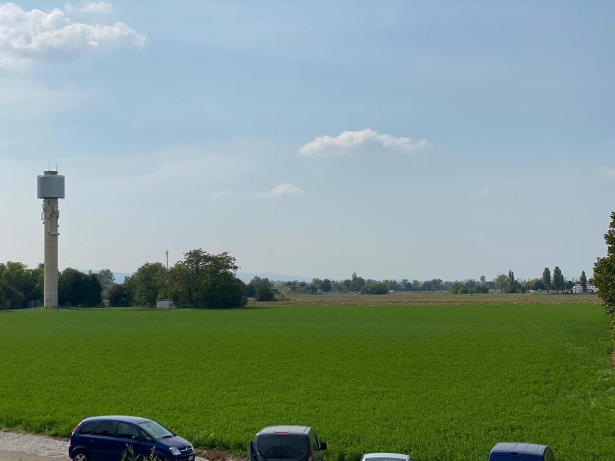 Bertani Modena